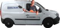 Electric truck